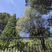 Вилла у моря в Италии, Вентимилья, 450 кв.м.