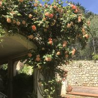 Вилла у моря в Италии, Вентимилья, 450 кв.м.