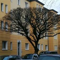 Квартира в Германии, Берлин, 80 кв.м.