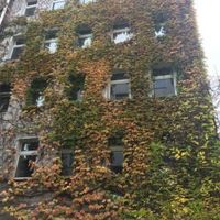 Квартира в Германии, Берлин, 140 кв.м.