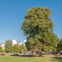 Квартира в Германии, Берлин, 52 кв.м.