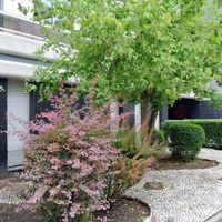 Квартира во Франции, Париж, 120 кв.м.