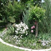 House in the village in Bulgaria, 36 sq.m.