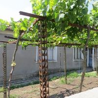 House in the village in Bulgaria, 100 sq.m.