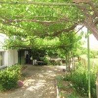 House in the village in Bulgaria, 100 sq.m.