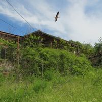 Дом в деревне в Болгарии, 70 кв.м.