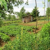 Дом в деревне в Болгарии, 80 кв.м.