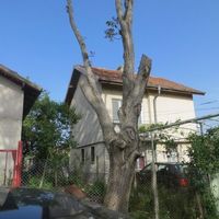 Дом в деревне в Болгарии, 100 кв.м.