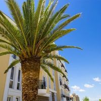 Квартира у моря в Болгарии, 38 кв.м.