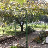 House in the village in Bulgaria, 90 sq.m.