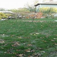 House in the village in Bulgaria, 127 sq.m.