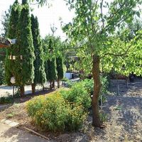 House in the village in Bulgaria, 80 sq.m.