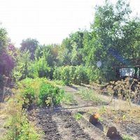 House in the village in Bulgaria, 80 sq.m.
