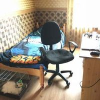 Квартира у моря в Болгарии, 55 кв.м.