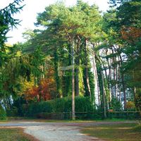 Villa in Guyane, 400 sq.m.