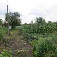 Дом в деревне в Болгарии, 70 кв.м.