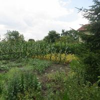 Дом в деревне в Болгарии, 70 кв.м.