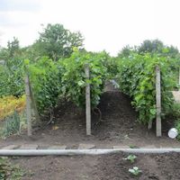 Дом в деревне в Болгарии, 70 кв.м.