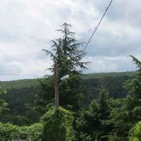 Дом в деревне в Болгарии, 50 кв.м.