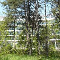 Квартира у моря в Болгарии, 40 кв.м.