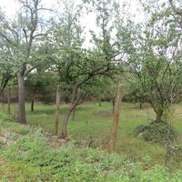 Дом в деревне в Болгарии, 100 кв.м.