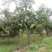 Дом в деревне в Болгарии, 100 кв.м.