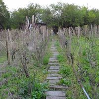 Дом в деревне в Болгарии, 90 кв.м.