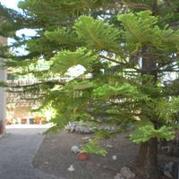 Дом в Испании, Каталония, Сегюр-де-Калафель, 350 кв.м.