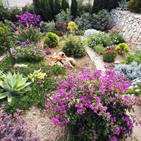 Вилла в Испании, Валенсия, Кальп, 200 кв.м.