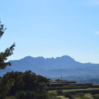 Вилла в Испании, Валенсия, Бениса, 475 кв.м.