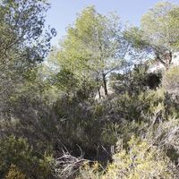 Land plot in Spain, Comunitat Valenciana, Calp