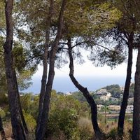 Вилла в Испании, Валенсия, Морайра, 265 кв.м.