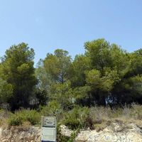 Вилла в Испании, Валенсия, Морайра, 265 кв.м.