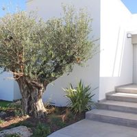 Вилла в Испании, Балеарские Острова, Кала Веделья, 358 кв.м.