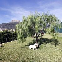 Villa in Spain, Comunitat Valenciana, Calp, 230 sq.m.