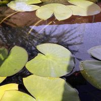 Villa in Spain, Comunitat Valenciana, Calp, 180 sq.m.