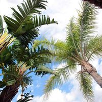 Villa in Spain, Comunitat Valenciana, Calp, 253 sq.m.