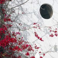 Villa in Spain, Comunitat Valenciana, Benissa, 200 sq.m.