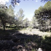 Земельный участок в Испании, Валенсия, Морайра