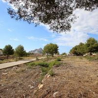 Land plot in Spain, Comunitat Valenciana, Calp