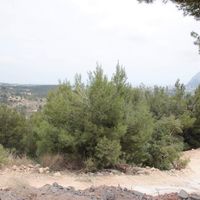 Land plot in Spain, Comunitat Valenciana, Calp