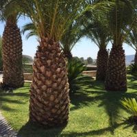 Elite real estate in the suburbs in Spain, Murcia, 583 sq.m.