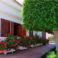 Villa at the seaside in Spain, Comunitat Valenciana, Guardamar del Segura, 300 sq.m.