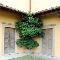 Villa in the big city, in the suburbs in Italy, Toscana, Florence, 777 sq.m.