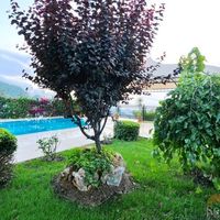 Вилла на спа-курорте, в пригороде, у моря в Турции, Аланья, 400 кв.м.