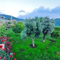 Вилла на спа-курорте, в пригороде, у моря в Турции, Аланья, 400 кв.м.