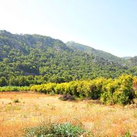 Villa at the seaside in Turkey, Antalya, 320 sq.m.