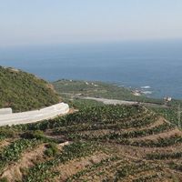 Вилла у моря в Турции, Аланья, 300 кв.м.