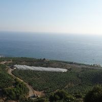 Вилла у моря в Турции, Аланья, 300 кв.м.