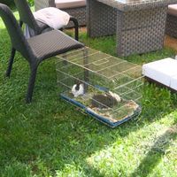 Villa at the seaside in Turkey, Antalya, 388 sq.m.